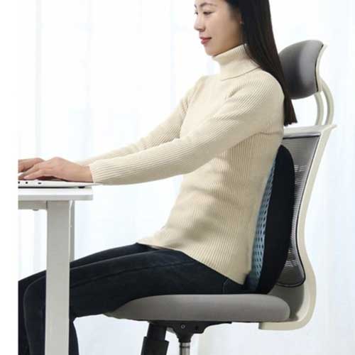 odlična ergonomska ledvena blazina - memory